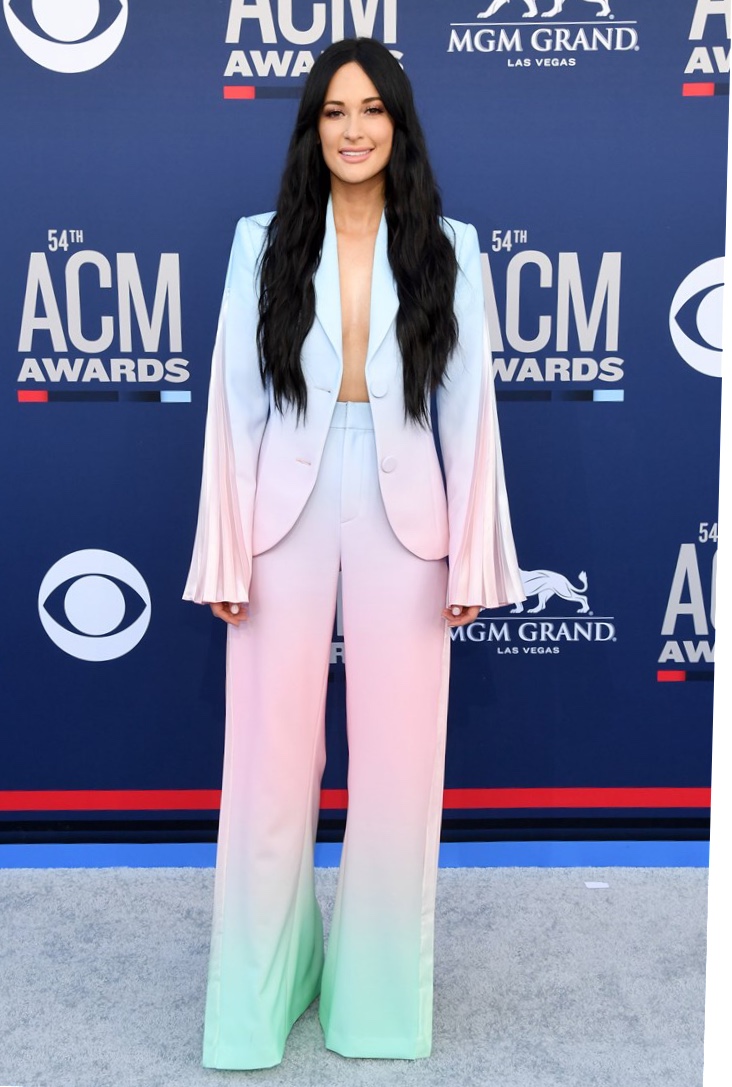 54th Academy of Country Music Awards Who were some of the best dressed