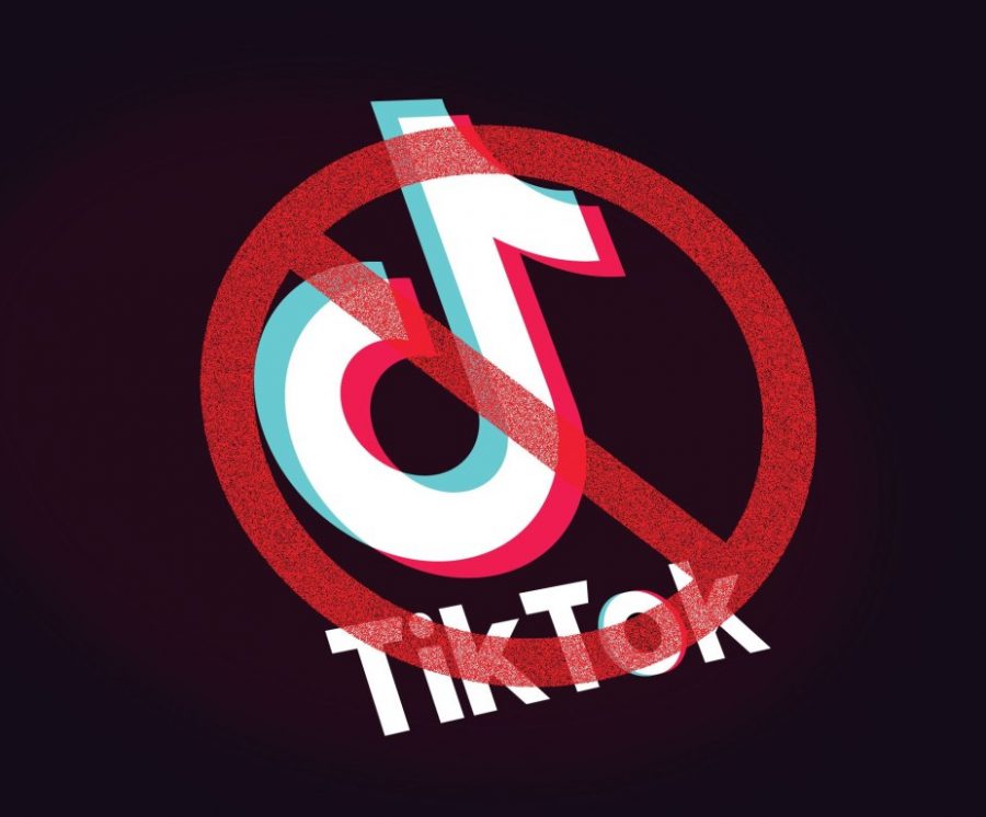 Tik Tok Ban: Protecting Americans or Trump’s Heart?