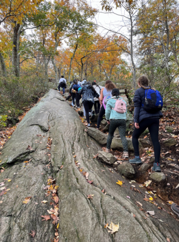 A line of students hike along a trail, nearing the top. (Credit: Lihie Kalfa)