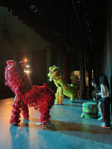 Backstage point of view of the Lion Dance (Credit: Kristina Feng).