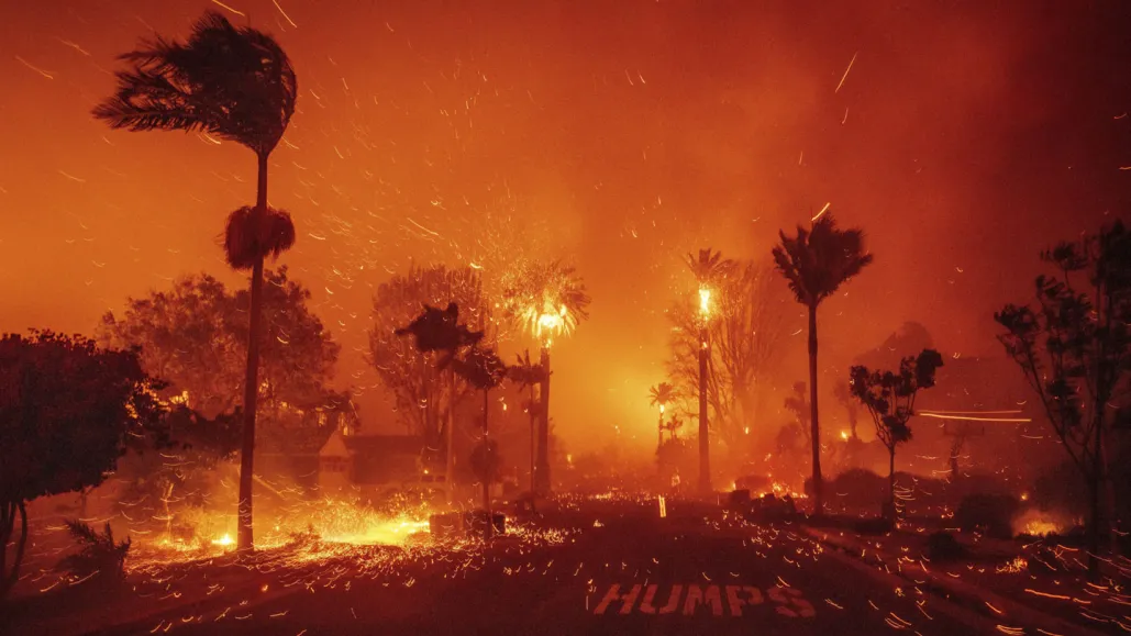 Fire rapidly spreads in the Pacific Palisades on January 7. (Credit: Ethan Swope)