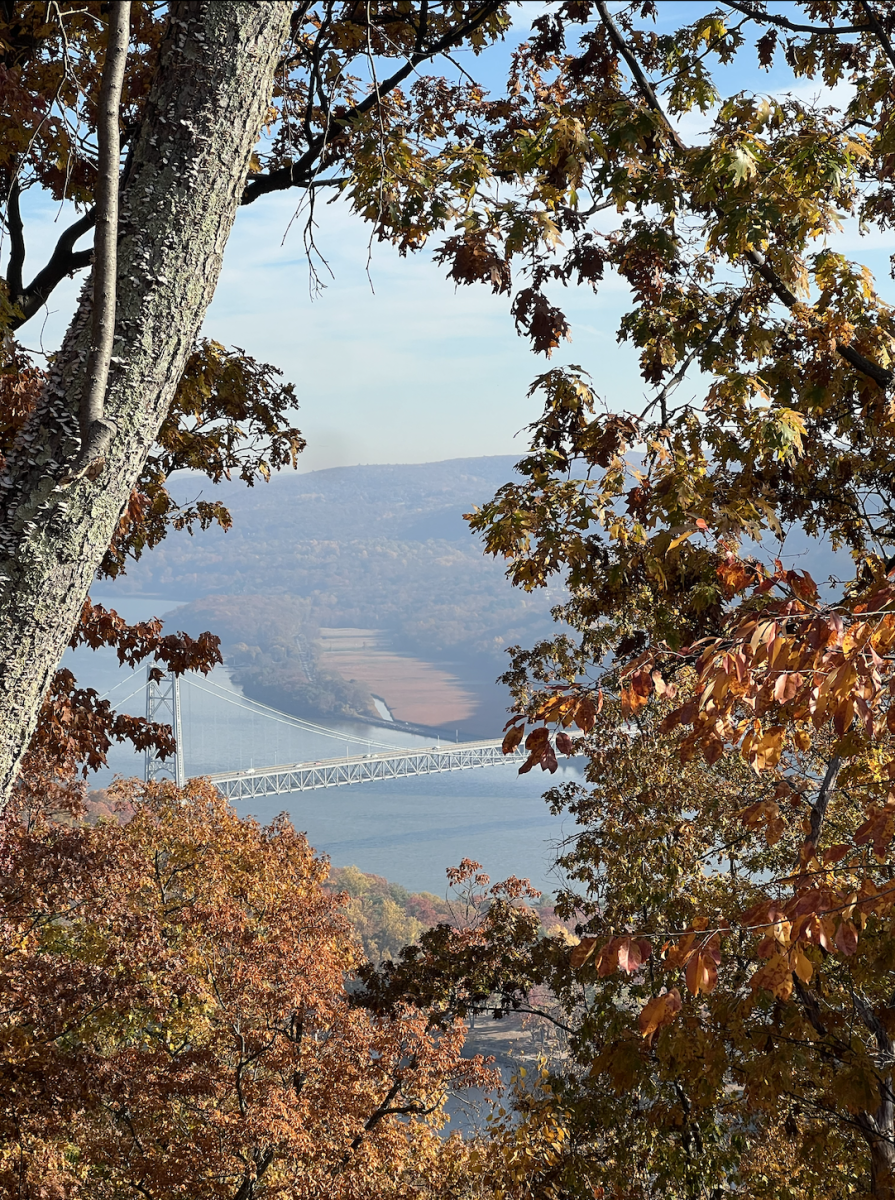 View photo taken from the top of Bear Mountain